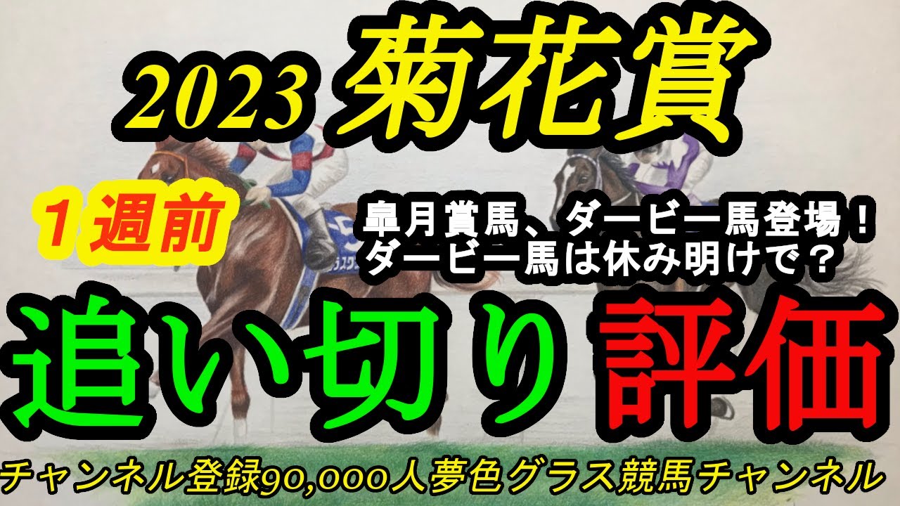 【1週前追い切り評価】2023菊花賞！皐月賞馬&ダービー馬登場！タスティエーラは休み明けで挑む！