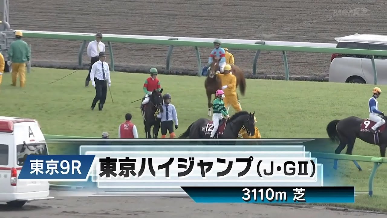 【競馬】2023年 第25回東京ハイジャンプ(J・GⅡ)【マイネルグロン / 石神深一】