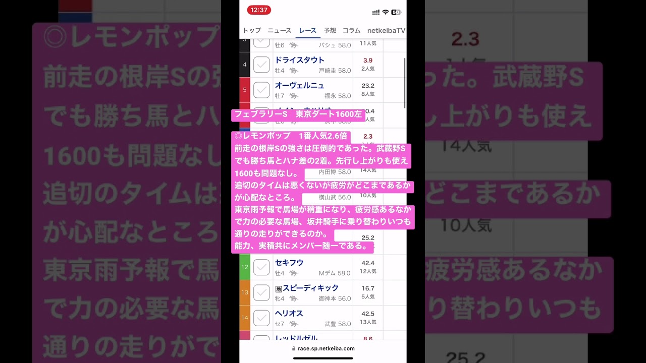 フェブラリーステークス&小倉大賞典　予想本命馬❗️ #フェブラリーステークス #小倉大賞典 #競馬 #競馬予想