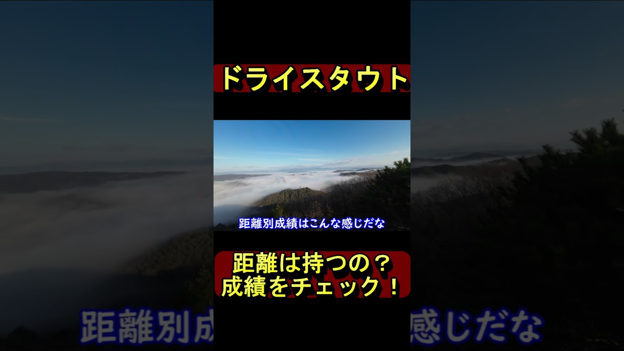 【競馬】フェブラリーステークス・ドライスタウトについて1分で解説！【初心者】#shorts