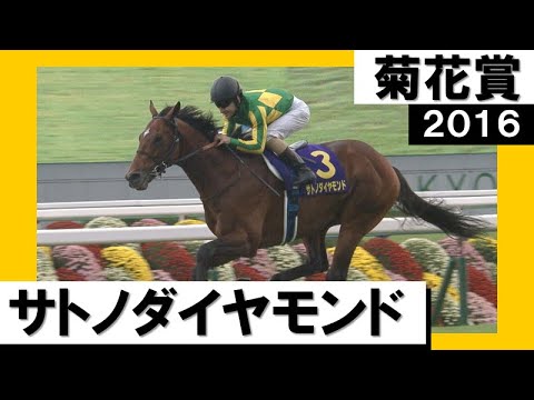 2016年 菊花賞 (GⅠ) サトノダイヤモンド　実況：吉原功兼【カンテレ公式】