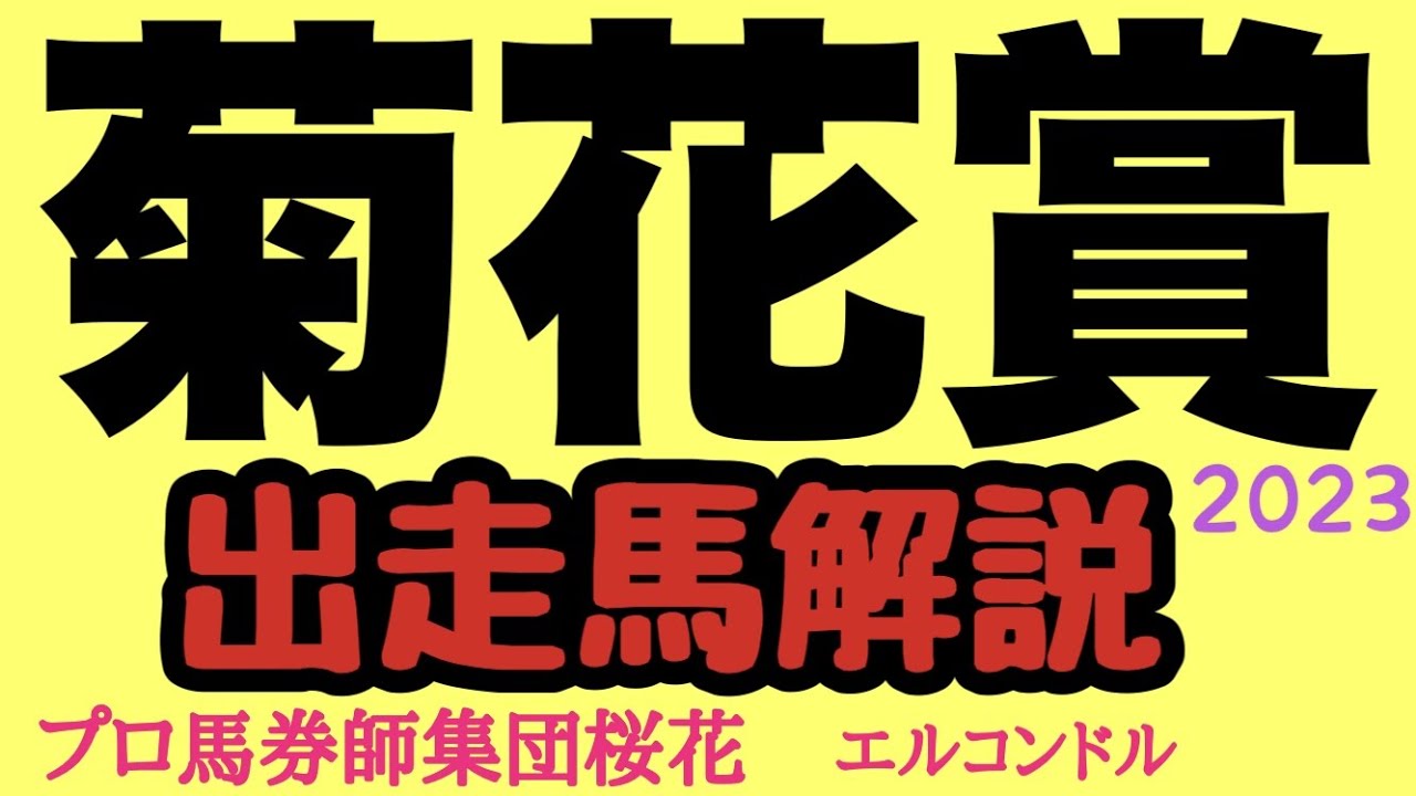 プロ馬券師集団桜花エルコンドル氏の菊花賞2023出走馬解説！！ダービー馬タスティエーラはダービーから直行ローテは大丈夫か！？未知の距離で夏から成長してきた上がり馬達にもチャンスあり！