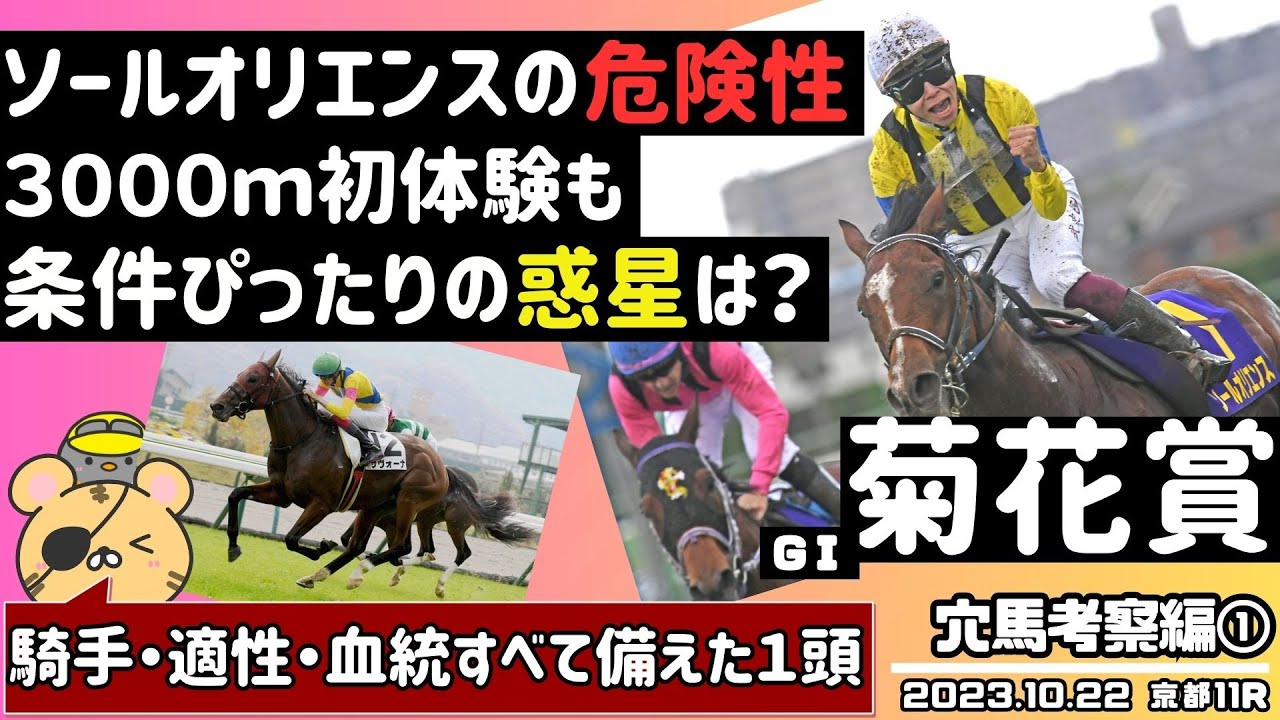 【菊花賞2023攻略①】皐月賞、ダービー馬を越えた信頼の1頭を紹介！ ソールオリエンスは京都芝3000ｍを乗り越えられるのかを教えます【競馬予想】