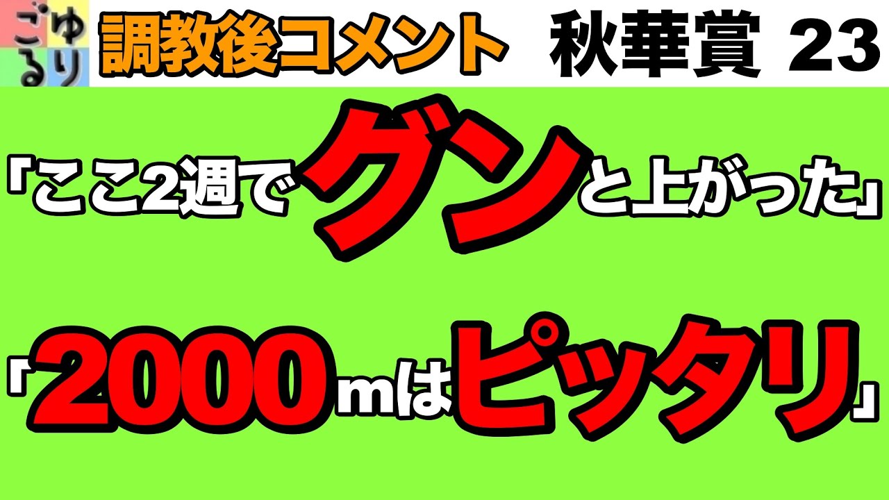 【ルメール断言】秋華賞 2023   調教後コメント集　ディープを負かした男のイメージとは【競馬予想】