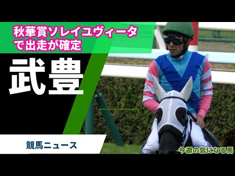 【武豊】秋華賞ソレイユヴィータ、出走確定！ランフランコ・デットーリ騎手引退撤回！サークルオブライフ引退