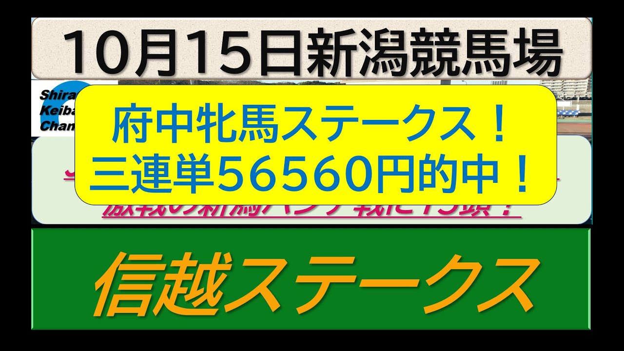 【競馬予想】信越ステークス　激戦の新潟ハンデ戦！～２０２３年１０月１５日 新潟競馬場 ：１０－２８