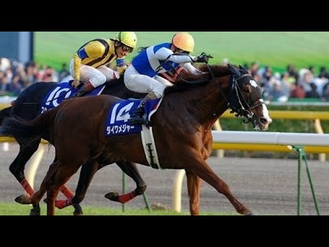 第１３４回　天皇賞（秋）（ＧⅠ）　ダイワメジャー　牡５　58　安藤勝己　2006.10.29　　出走馬：アドマイヤムーン、コスモバルク、スイープトウショウ、ダンスインザムード、ハットトリック他