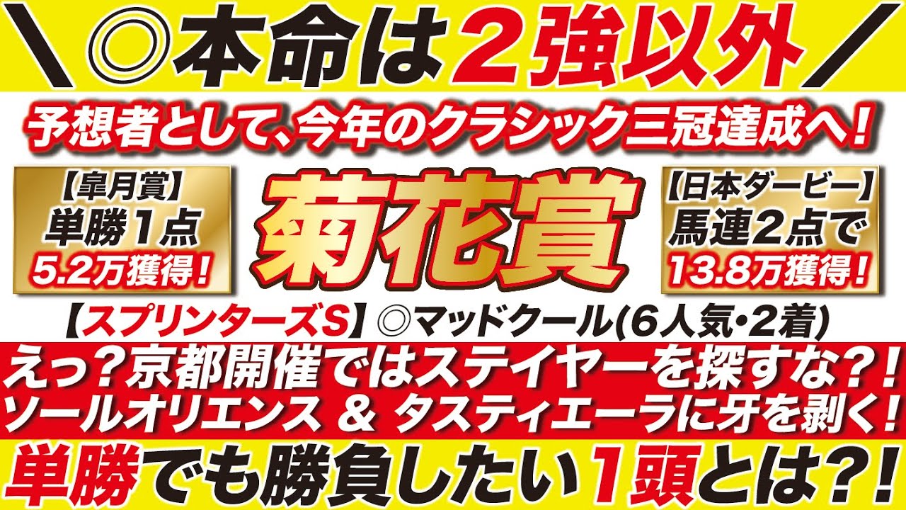 菊花賞 2023【予想】えっ？京都開催ではステイヤーを探すな？！ソールオリエンス & タスティエーラに牙を剥く！単勝でも勝負したい１頭とは？！