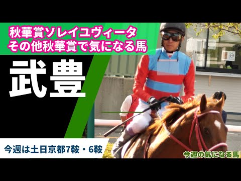【武豊】今週は土日京都で土曜7鞍、日曜6鞍！秋華賞・ソレイユヴィータ！秋華賞で気になる馬と美味しい高配当の気になる馬発見！