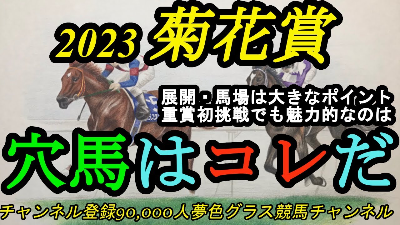 【穴馬はコレだ】2023菊花賞！展開・馬場色々な要素の穴馬！そして実力も魅力的なのは？