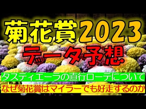 菊花賞2023　データ予想
