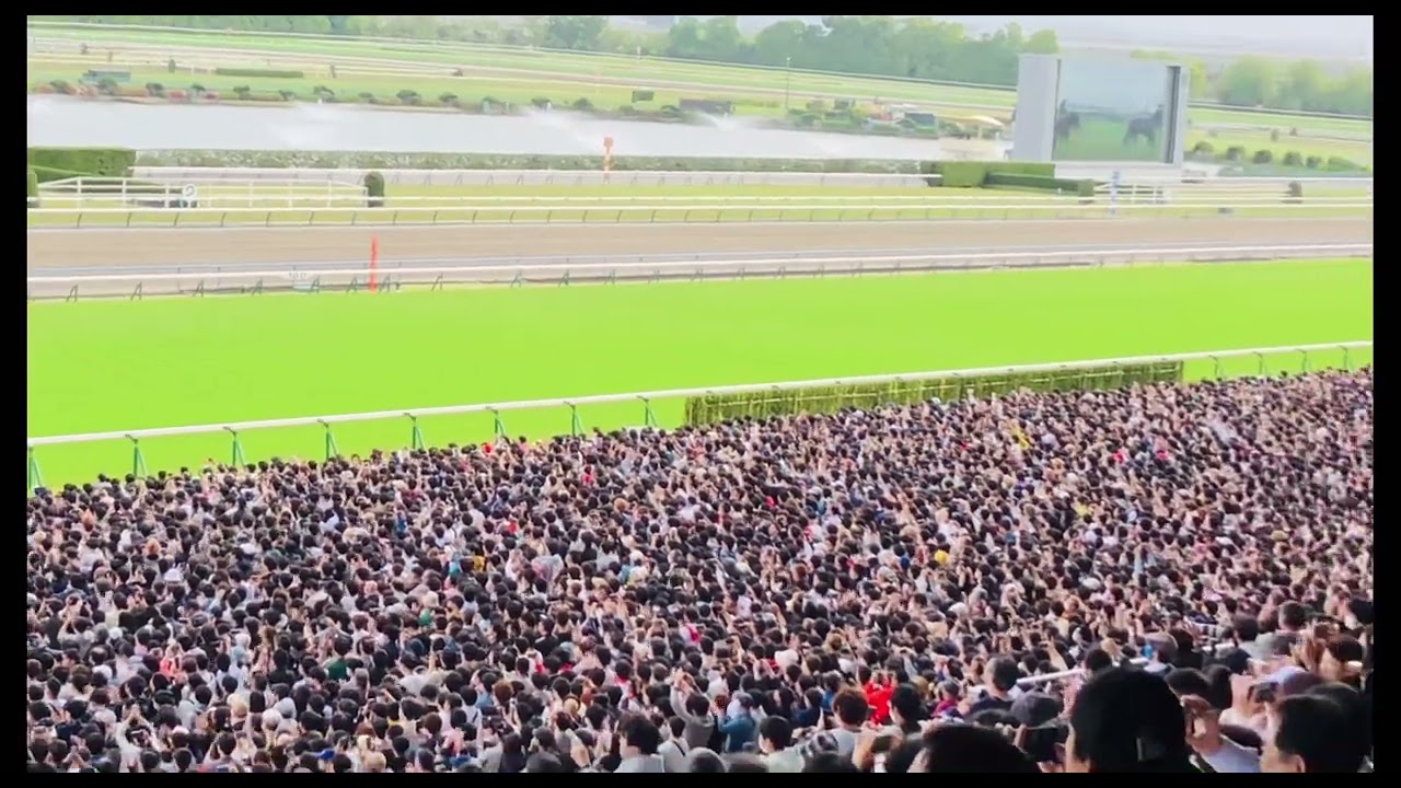 2023.4.30天皇賞春✨新京都競馬場生ファンファーレ🏇🤣#京都競馬場 #新京都競馬場#ニュー京都競馬場#天皇賞春2023 #天皇賞春