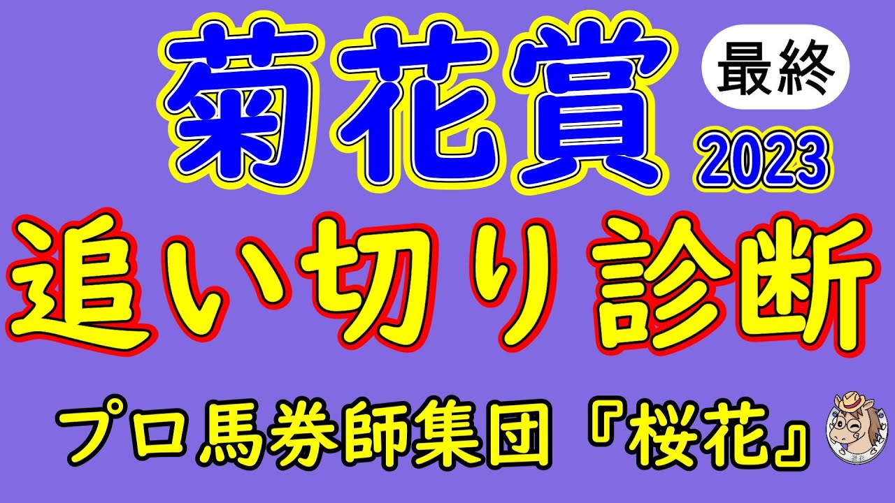 菊花賞2023追い切り診断！水曜日に出走予定馬１７頭が追い切りを済ませ人気のソールオリエンスやタスティエーラの状態面は？長距離ならではの評価は？