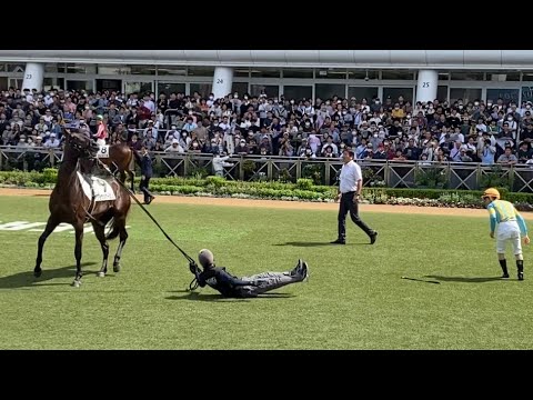 騎手を振り落とし厩務員を引きずるクラウンクーロンそしてボロ　木幡巧也騎手