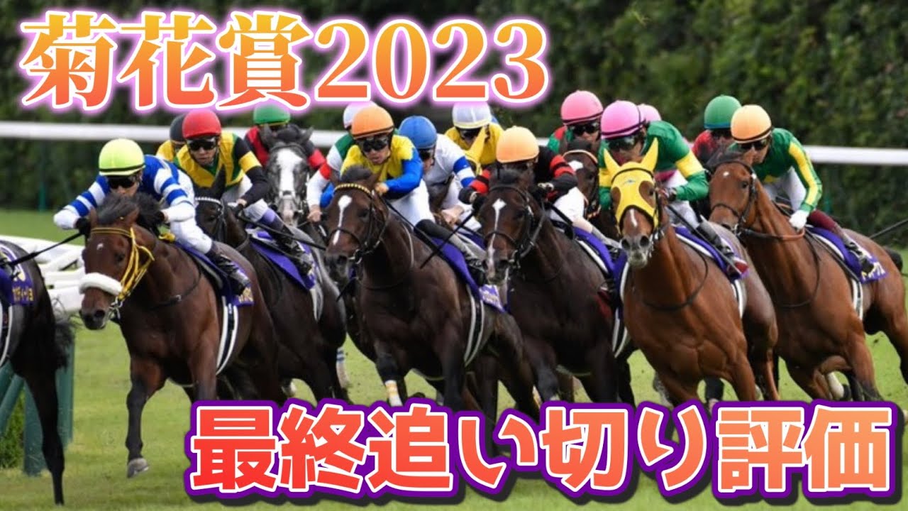 菊花賞2023 最終追い切り評価