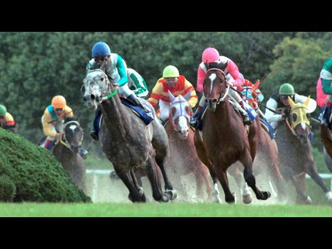 第１０５回　天皇賞（春） （ＧⅠ）　メジロマックイーン　牡５　58　武豊　1992.4.26　　出走馬：カミノクレッセ、イブキマイカグラ、トウカイテイオー、バンブージャンボ、メジロパーマー他