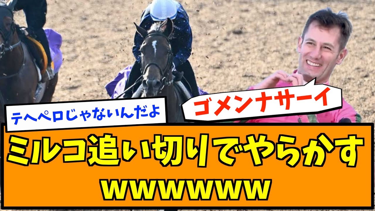 ミルコ追い切りでやらかすwwwwww
