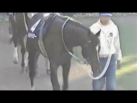 第３８回　有馬記念（グランプリ） （ＧⅠ）　パドック　1993.12.26　出走馬：ビワハヤヒデ、レガシーワールド、ウイニングチケット、トウカイテイオー、ライスシャワー、ベガ、メジロパーマー他