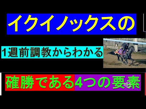 2023年 天皇賞秋 イクイノックスの調教が化け物すぎる【予想】