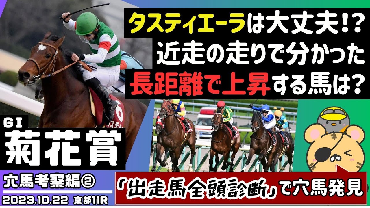 【菊花賞2023攻略②】タスティエーラなど「出走馬全頭診断」で危険な人気馬を暴く！ 混戦の長距離戦でワンチャンス期待の不当評価な穴馬を考えてみた【競馬予想】