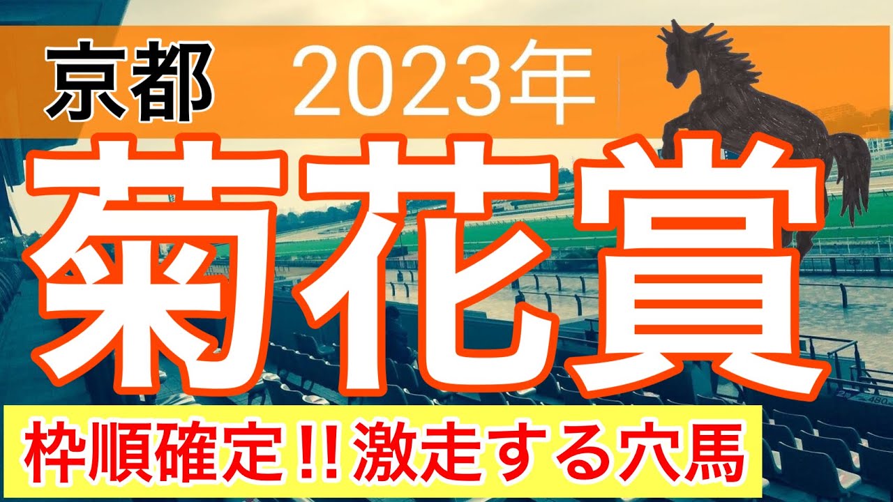 【菊花賞2023】競馬予想　この枠なら軸は〇〇