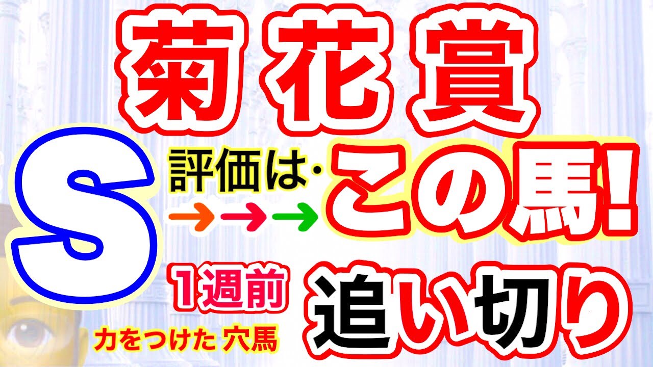 穴党専科！京都競馬【菊花賞2023】しーいちの1週前追い切り評価