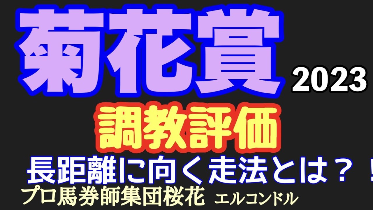 プロ馬券師集団桜花エルコンドル氏の菊花賞2023調教評価！！全ての馬が未知の距離に挑む！スタミナも問われるレースに必要なものは！？人気馬の状態は？！