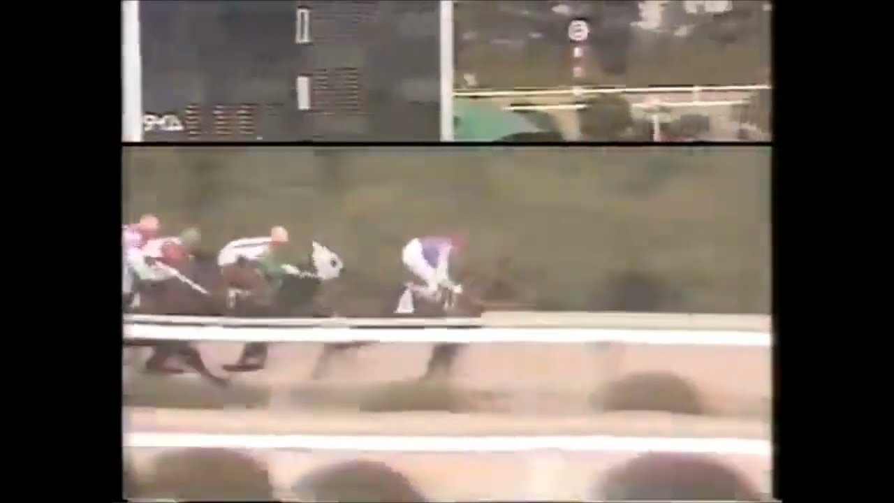 第２８回　サンケイ大阪杯 （ＧⅡ）　カツラギエース　牡４　56　西浦勝一　1984.4.1　　出走馬：ロンググレイス、スズカコバン、ミスラディカル、キントキタロー、シンブラウン、キョウエイアセント他