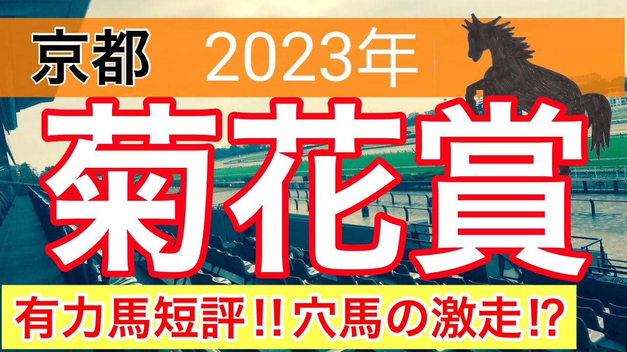 【菊花賞2023】競馬予想　神戸新聞杯組の取捨が的中への道⁉︎