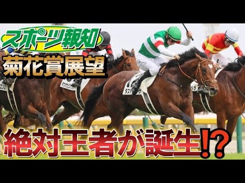 【菊花賞2023】絶対王者が誕生⁉大混戦をスポーツ報知の競馬記者が徹底解説