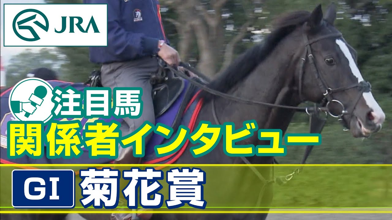 【注目馬 関係者インタビュー】2023年 菊花賞｜JRA公式