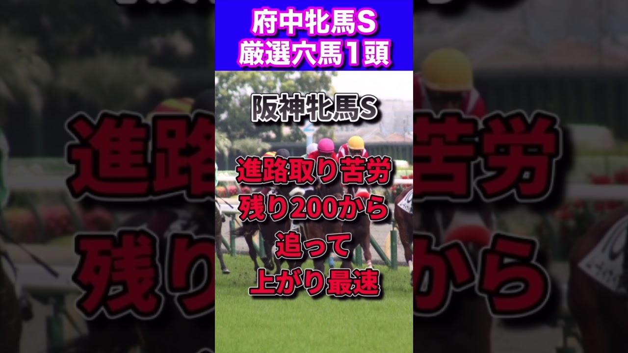 【府中牝馬ステークス2023厳選穴馬1頭】