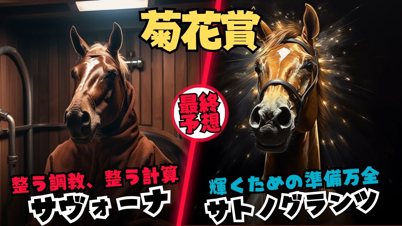 【菊花賞2023予想 調教重視で2年連続的中を目指す】華麗なる逆算の調教を見せたサヴォーナに決めた・崩れ知らずの坂路時計サトノグランツ・万全の王者タスティエーラと堀厩舎【競馬予想/11BET】