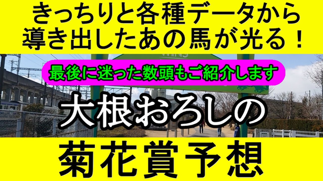 菊花賞2023をデータから徹底予想【データからズバリ抽出！】