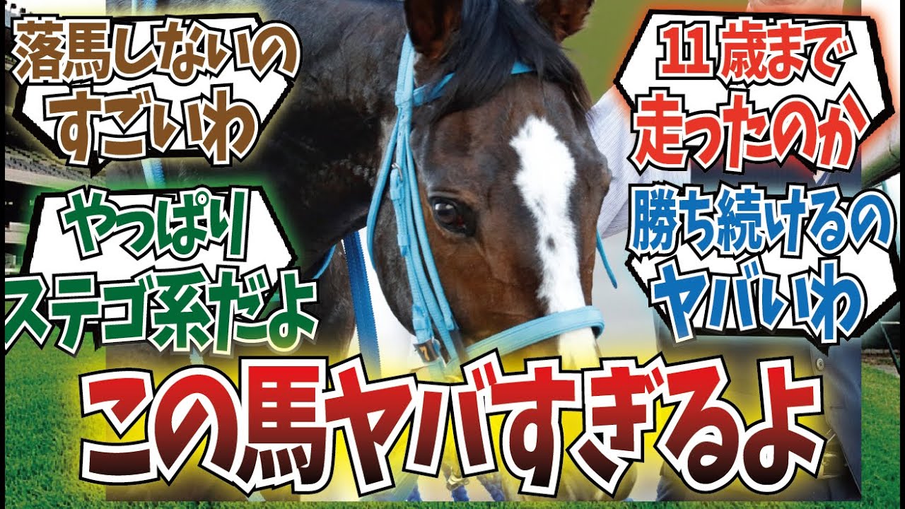 「オジュウチョウサンのやばさを再認識した」に対するみんなの反応集