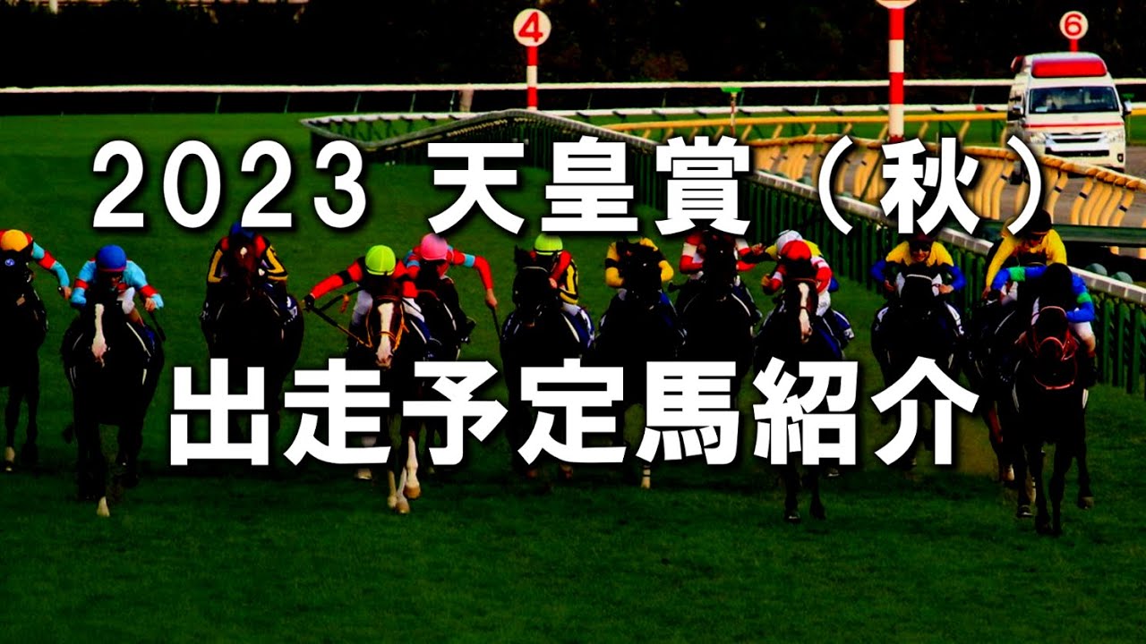 2023 天皇賞秋　 出走馬紹介　#天皇賞