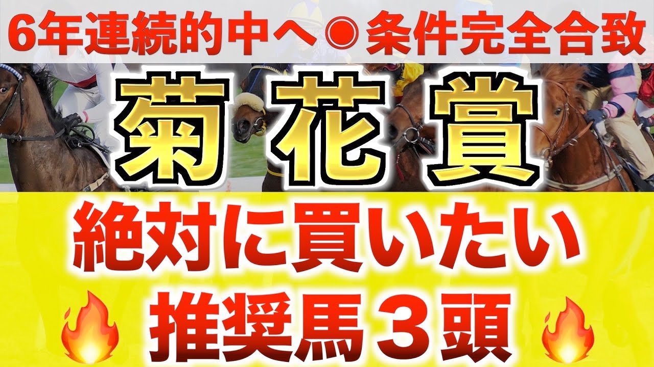 【菊花賞2023 予想】タスティエーラ過去最高のデキ？プロが"全頭診断"から導く絶好の3頭！