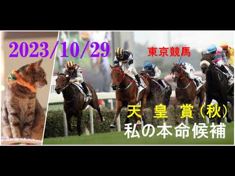 2023/10/29　東京競馬　天皇賞・秋（ＧⅠ）私の本命候補