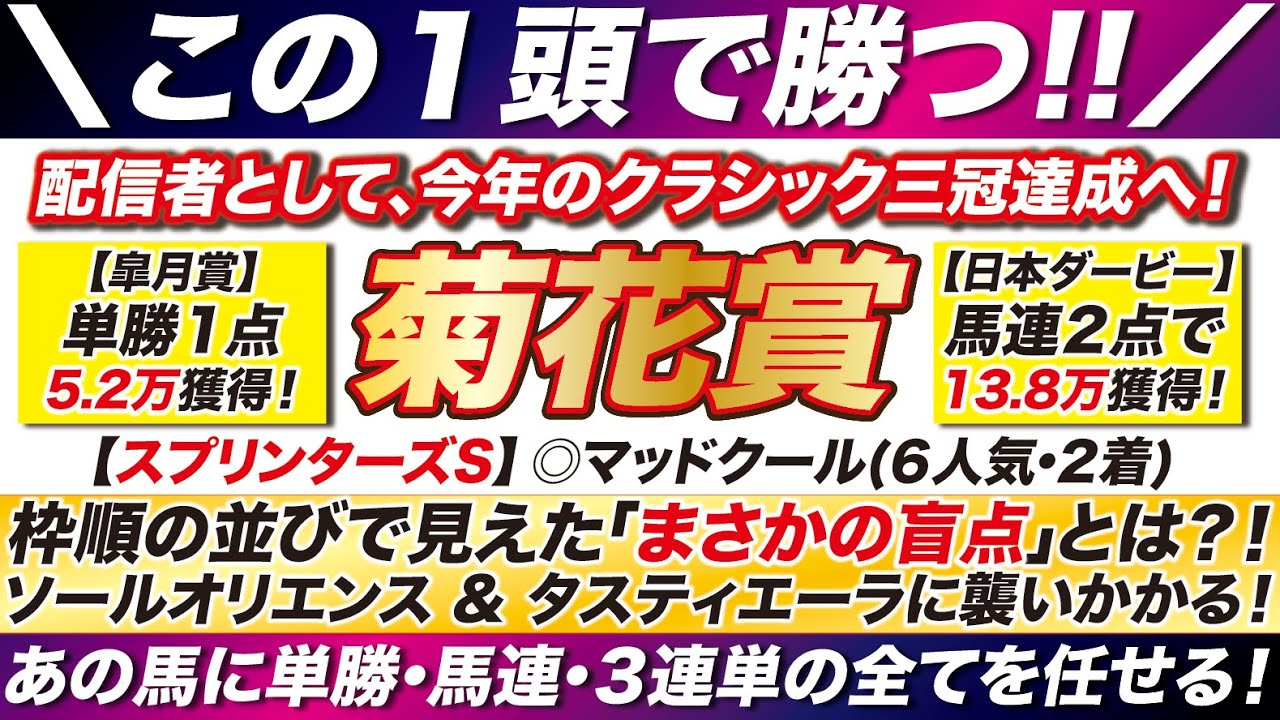 菊花賞 2023【予想】この１頭に全てを託す！枠順の並びに見えた盲点とは？！ソールオリエンス & タスティエーラに襲いかかる「あの馬」に全てを任せる！