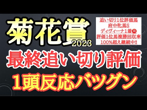 【菊花賞2023】最終追い切り評価！ソールオリエンスら有力馬の動きはどうだったのか？そして個人的追い切り1位はどの馬だ！？