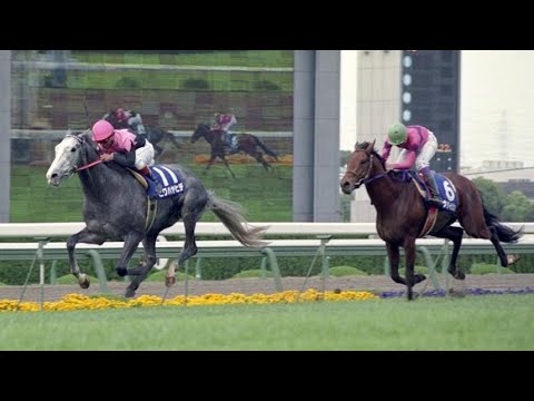 『外から外からナリタタイシン！』第１０９回　天皇賞（春）（ＧⅠ）　ビワハヤヒデ　牡４　58　岡部幸雄　1994.4.24　　出走馬：ムッシュシェクル、マチカネタンホイザ、ナイスネイチャ他　実況：杉本清