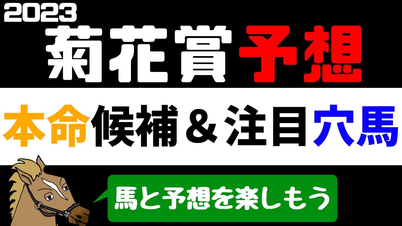 【菊花賞2023 予想】注目馬紹介 本命候補と注目穴馬【バーチャルサラブレッド・リュウタロウ/競馬Vtuber】