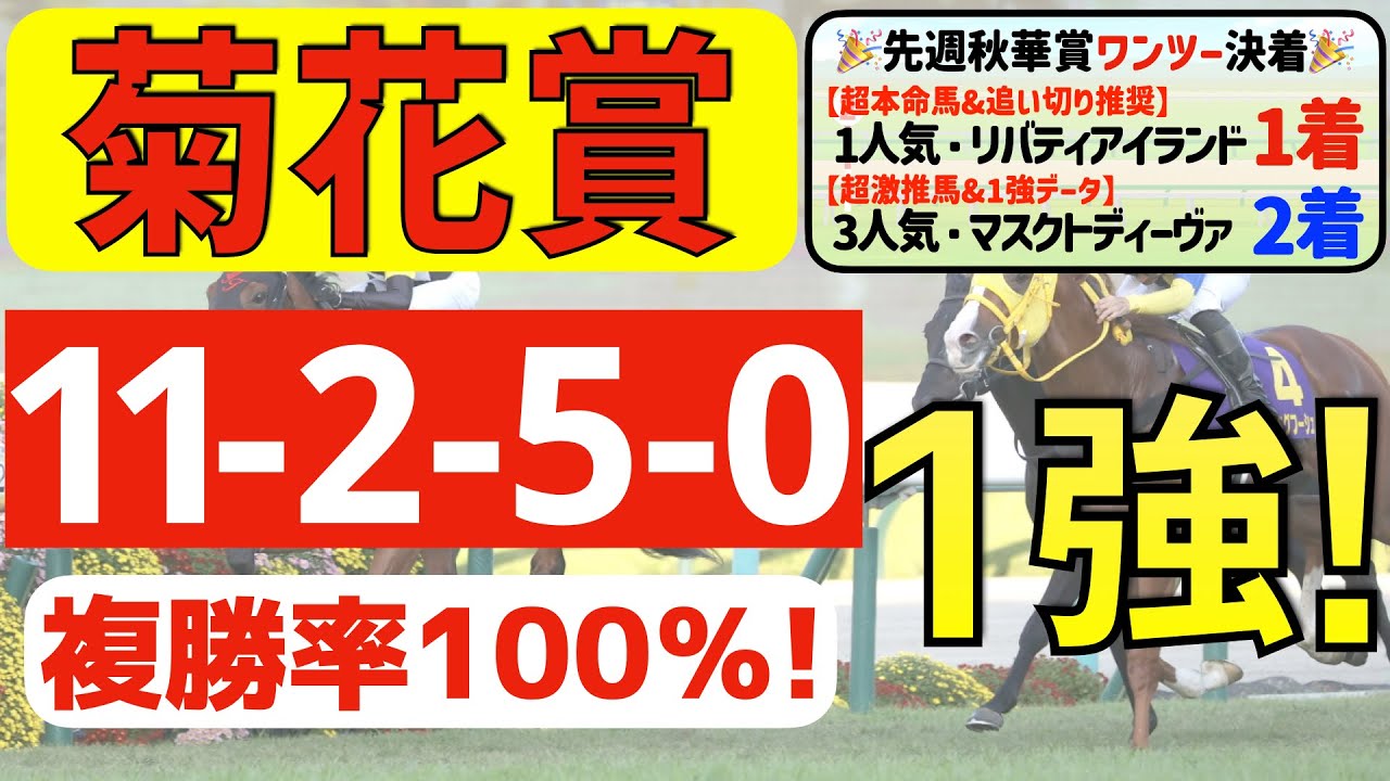 【菊花賞2023】最適の１強「11-2-5-0」複勝率100％の鉄板データ発見！先週秋華賞「指名馬ワンツー決着」の馬ん福がオススメする軸１頭はコレ！