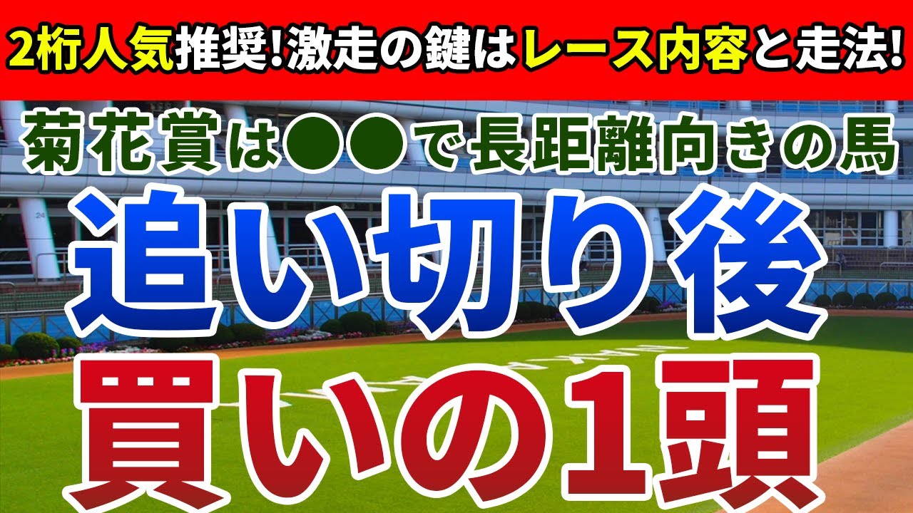 菊花賞2023 追い切り後【買いの1頭】公開！多様なステップレースを一挙に振り返り！未知の距離だからこそ狙いたい妙味馬とは？