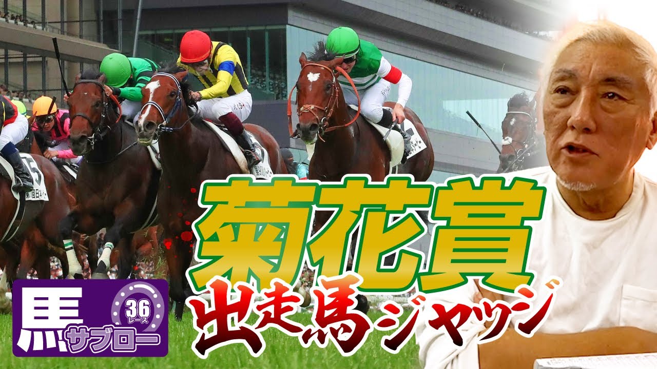【菊花賞】出走馬ジャッジ