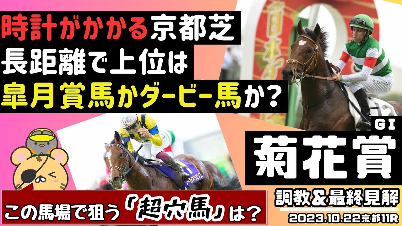 【菊花賞2023最終結論】皐月賞馬vs.ダービー馬の決着戦、勝敗の決め手が明らかに！時計がかかる京都芝で有力な穴馬を教えます【競馬予想】