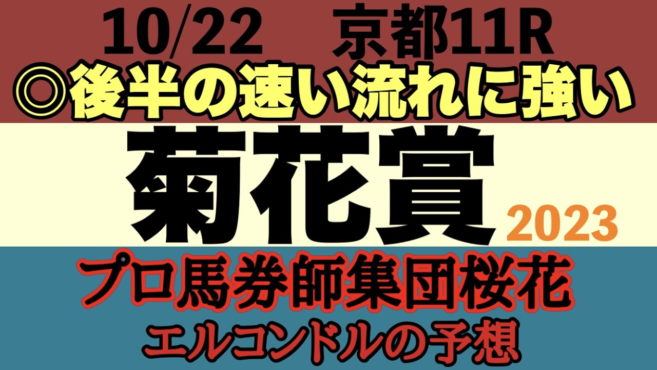 プロ馬券師集団桜花エルコンドル氏の菊花賞2023予想！！タスティエーラかソールオリエンスの2冠か？クラシック最後のタフなレースは前残りか上がり勝負どちらになるか！