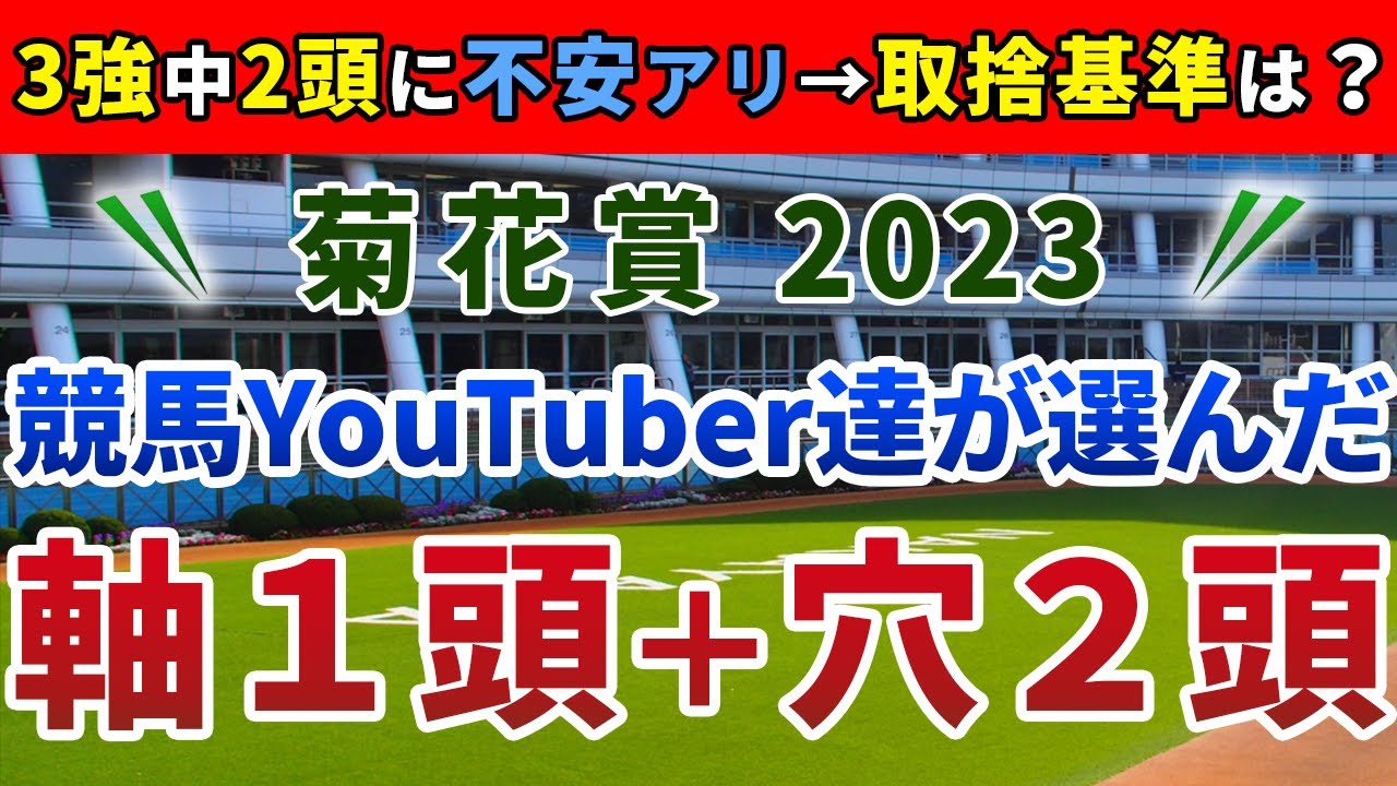 菊花賞2023 競馬YouTuber達が選んだ【軸1頭＋穴2頭】