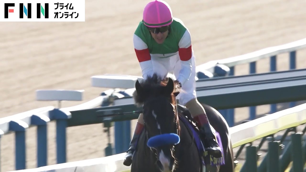 【菊花賞】ルメール「おおきに！」ダービー馬&皐月賞馬を破りドゥレッツァが3冠最終戦を制す