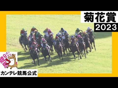 2023年 菊花賞 (GⅠ)  実況：川島壮雄【カンテレ公式】